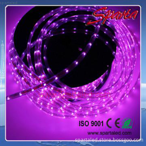 high voltage smd led strip light 220V 5050 60leds/m IP67 waterproof